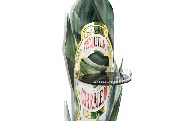 Corralejo Silver Floating Display